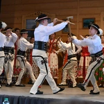 Z regionalizmem za pan brat