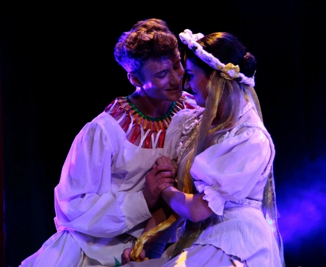 Widowisko "Polska w koronie"