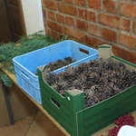 Wieńce adwentowe cz. 3