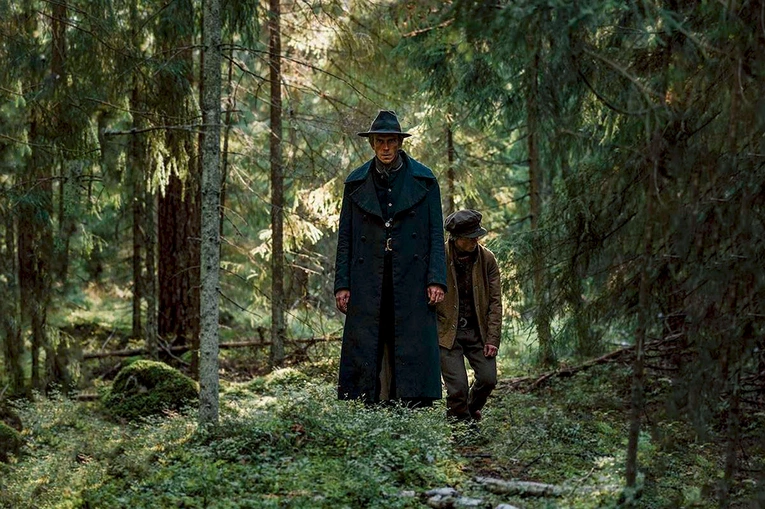 Ugotować niedźwiedzia 