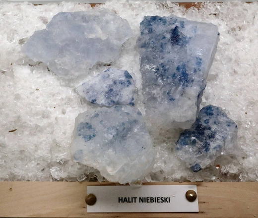 Kopalnia soli " Kłodawa "