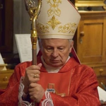 Poświęcenie figury Chrystusa upadającego pod krzyżem u radomskich bernardynów