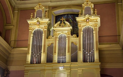 Instrument został wybudowany w 1909 roku.