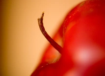 Jabłko zamiast muszli