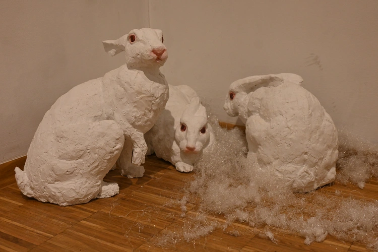 Nowotarskie "Implementacje"