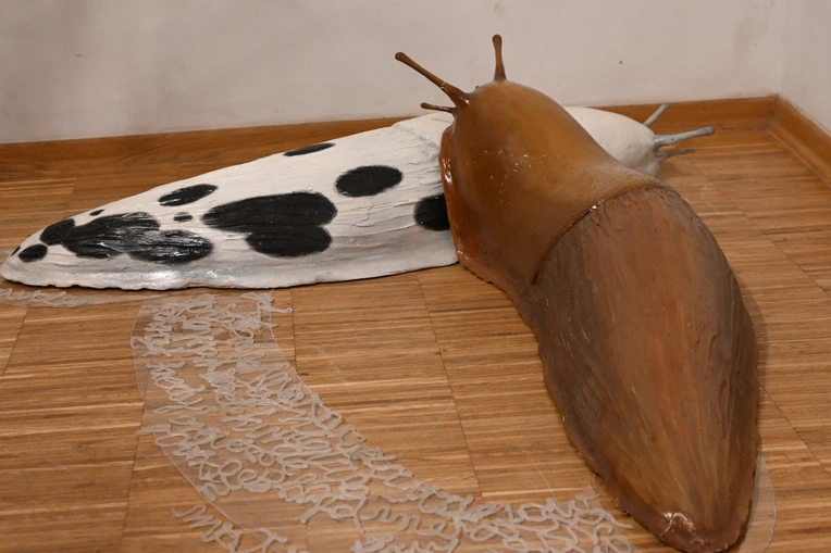 Nowotarskie "Implementacje"