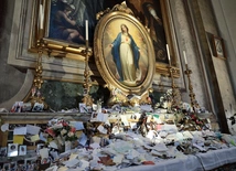 Niepokalana dla pokalanych