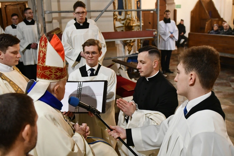 Obłóczyny i kandydatura w Rokitnie