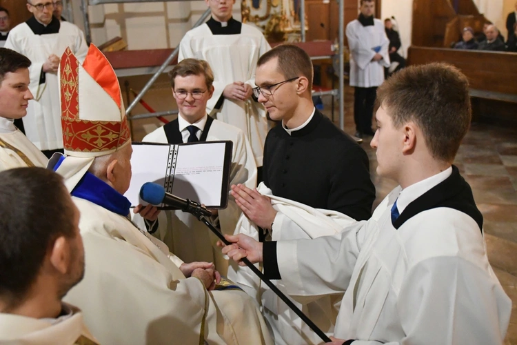 Obłóczyny i kandydatura w Rokitnie