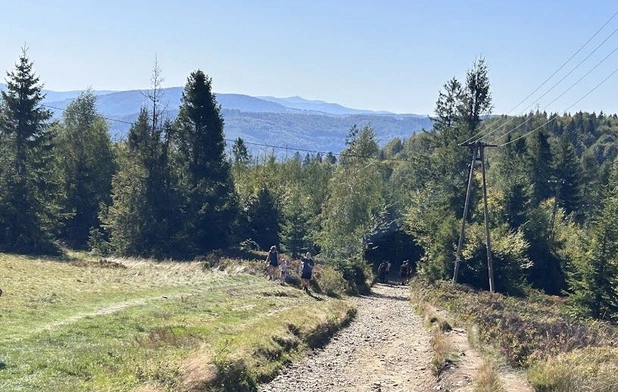 A przyroda taka piękna...