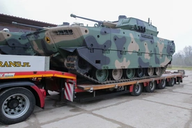 Borsuki w kamuflażu