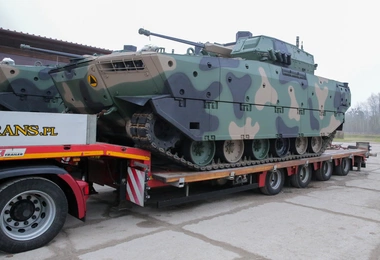 Borsuki w kamuflażu