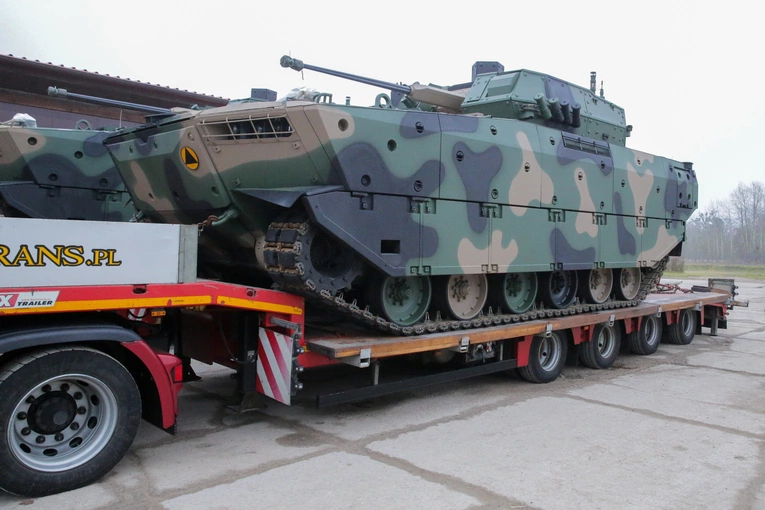 Borsuki w kamuflażu