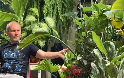 Kwiatów już nie jestem w stanie zliczyć, szczepki się ukorzeniają, inne się rozrastają.  Tylko jedna  gałąź paproci  ma 2,5 metra długości  – opowiada dr Rafał.