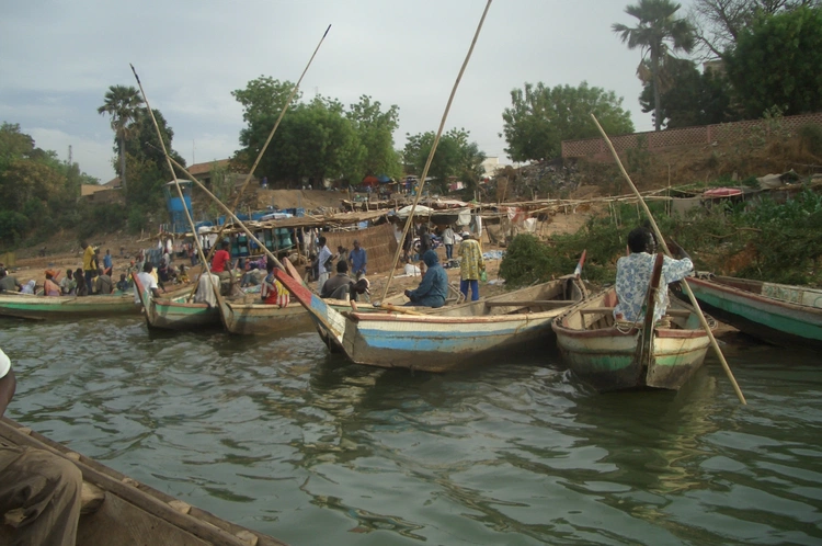 Przewoźnicy towarów na Nigrze