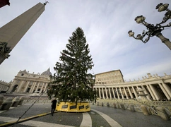 Zapalono światła na choince na placu Świętego Piotra