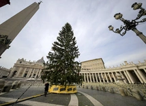 Zapalono światła na choince na placu Świętego Piotra