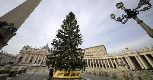 Zapalono światła na choince na placu Świętego Piotra