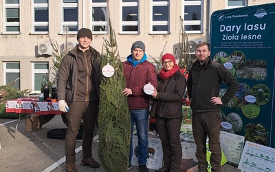 Leśnicy rozdawali choinki honorowym dawcom krwi