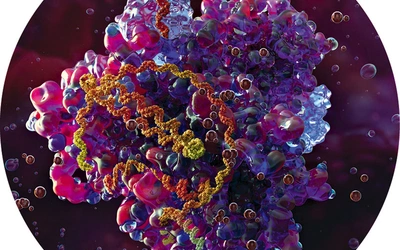 Cztery strony nauki. Subiektywny wybór najciekawszych wydarzeń 2025 r.