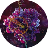 Cztery strony nauki. Subiektywny wybór najciekawszych wydarzeń 2025 r.