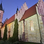 Relikwie św. Jana Pawła II w koneckiej kolegiacie