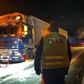 Służby na miejscu zatoru na S7