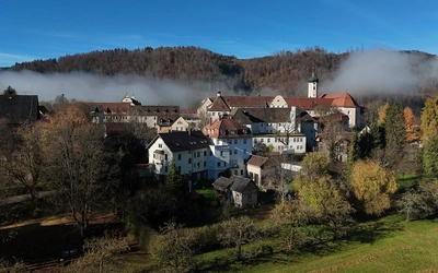 "Edyta Stein - Gwiazda Europy". W 2025 roku na nowo przypomniana