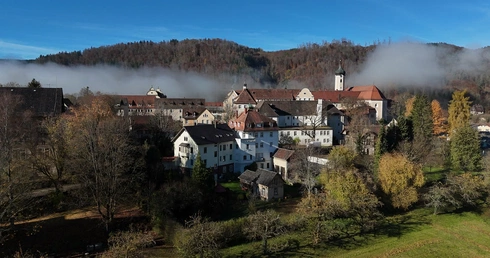 "Edyta Stein - Gwiazda Europy". W 2025 roku na nowo przypomniana