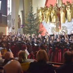 Zakończenie roku świętego w Brzesku
