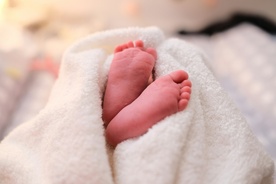 Watykan: nowy prezes Akademii Życia