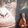 W wieku 91 lat zmarła Jane Goodall, światowej sławy badaczka szympansów