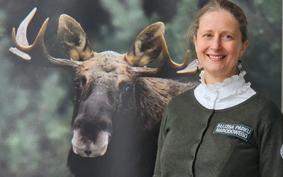 Szumi nad wszystkimi