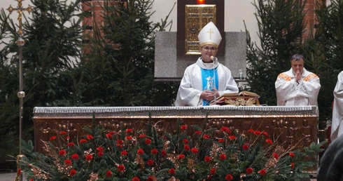 XII Sylwester z Ubogimi