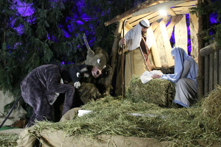 Pastorałka dla Woła i Osła