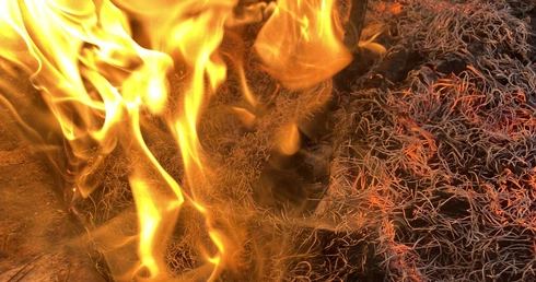 Odkryto ślady najstarszej kremacji w Afryce