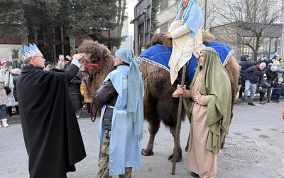 Całe Katowice idą za Królami