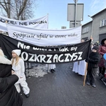 Katowicki Orszak Trzech Króli