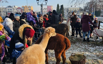 Orszak Trzech Króli 2026 - Sochaczew