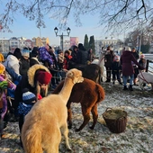 Orszak Trzech Króli 2026 - Sochaczew