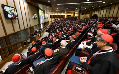 Konsystorz: Kardynałowie ustalili tematy