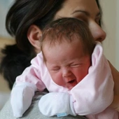 Nowi mieszkańcy stolicy