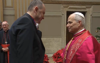 Adam Kwiatkowski po audiencji: to było wystąpienie programowe