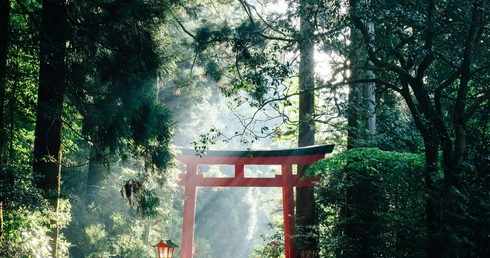 Wiara męczenników nie przestaje intrygować japonistów