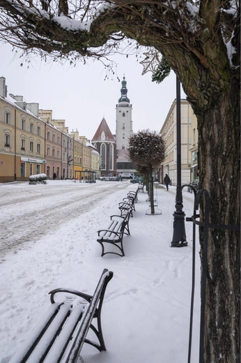 Bazylika w Oleśnicy