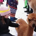 Archidiecezjalne Spotkanie Kolędników Misyjnych 2026 - cz. 2