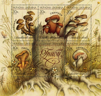 Spotkania z filatelistyką: Finezja