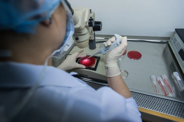 "Prawda o in vitro" - Fundacja Donum Vitae organizuje szkolenie dla księży i doradców rodzinnych