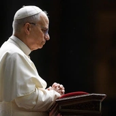 Papież spotkał się z osobą skrzywdzoną wykorzystywaniem seksualnym: „On poczuł mój ból”