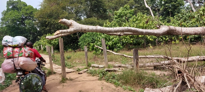 Nigeria: Uwolniono ponad 160 chrześcijan